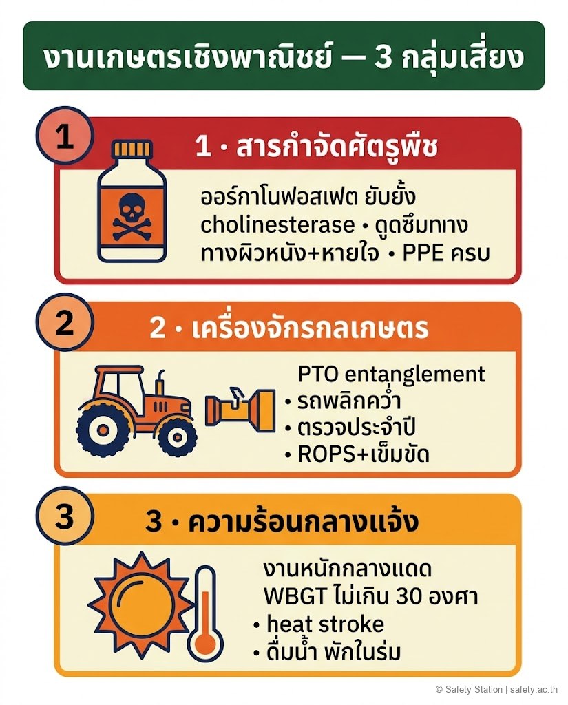 อินโฟกราฟิกแนวตั้ง 3 กลุ่มเสี่ยงงานเกษตรเชิงพาณิชย์ — 1 สารกำจัดศัตรูพืช (ออร์กาโนฟอสเฟต/cholinesterase) 2 เครื่องจักรกลเกษตร (PTO/รถพลิกคว่ำ/ตรวจประจำปี) 3 ความร้อนกลางแจ้ง (งานหนัก WBGT ไม่เกิน 30 องศา)