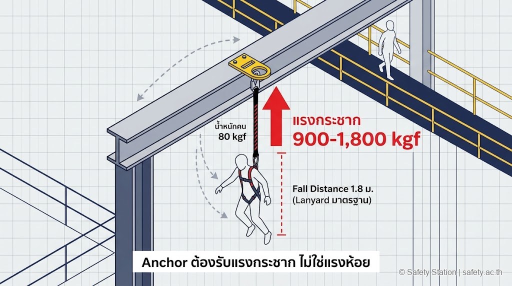 แผนภาพ isometric แสดงแรงกระชาก Fall Arrest Force ที่ Anchor ต้องรับเมื่อคนตก — ระบุว่าแรงกระชากอยู่ที่ 900-1,800 kgf ไม่ใช่แค่ 80 kgf น้ำหนักคน
