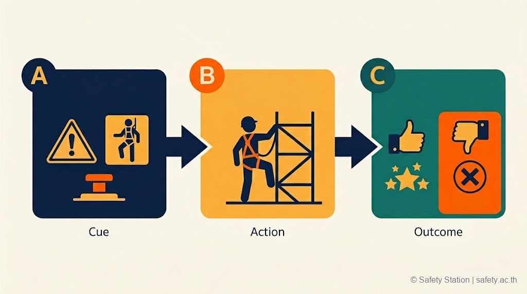 อินโฟกราฟิก flat-style แสดง ABC Framework ของ BBS — Antecedent (สิ่งกระตุ้น), Behavior (พฤติกรรม), Consequence (ผลลัพธ์ positive/negative)