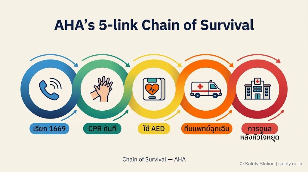 อินโฟกราฟิก Chain of Survival 5 ห่วงโซ่ของ AHA — เรียก 1669, CPR ทันที, ใช้ AED, ทีมแพทย์ฉุกเฉิน, ดูแลหลังหัวใจหยุด