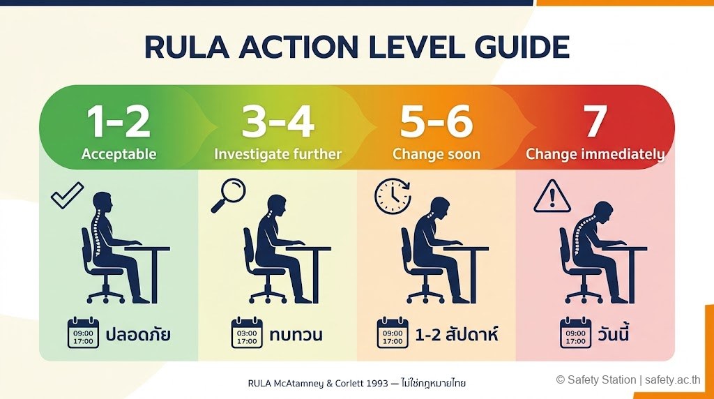 อินโฟกราฟิก RULA action level 4 ช่วง gradient เขียวถึงแดง — score 1-2 Acceptable, 3-4 Investigate further, 5-6 Change soon (1-2 สัปดาห์), 7 Change immediately (วันนี้)
