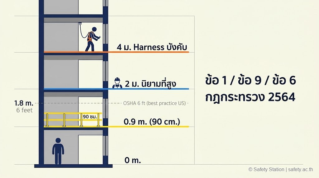 อินโฟกราฟิกแสดง trigger levels กฎหมายไทย — 90 ซม. ราวกั้น, 2 ม. นิยามที่สูง, 4 ม. Harness บังคับ พร้อมเปรียบเทียบกับ OSHA 6 ft