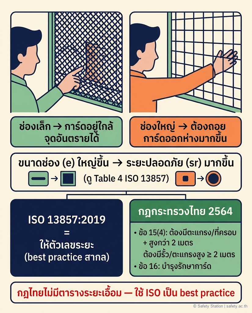 อินโฟกราฟิกหลักการเอื้อมลอดช่องเปิดตาม ISO 13857 — ช่องตะแกรงยิ่งใหญ่ยิ่งต้องถอยการ์ดออกห่างจุดอันตรายมากขึ้น (Table 4) พร้อมโยงกฎกระทรวงไทย 2564 ข้อ 15(4) ที่บังคับให้มีตะแกรง/ที่ครอบและรั้วสูงอย่างน้อย 2 เมตรเมื่อส่วนหมุนสูงเกิน 2 เมตร และข้อ 16 บำรุงรักษาการ์ด โดยเตือนว่ากฎไทยไม่มีตารางระยะเอื้อม ต้องใช้ ISO เป็นแนวปฏิบัติที่ดีสากล