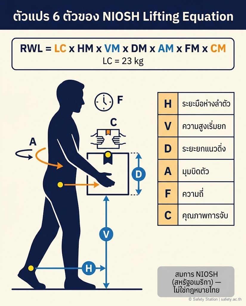 อินโฟกราฟิกแสดงตัวแปร 6 ตัวของสมการ NIOSH Lifting Equation บนภาพคนยกกล่องมองด้านข้าง — H ระยะมือห่างลำตัว, V ความสูงเริ่มยก, D ระยะยกแนวดิ่ง, A มุมบิดตัว, F ความถี่, C คุณภาพการจับ พร้อมสูตร RWL เท่ากับ LC คูณตัวคูณทั้งหก โดย LC เท่ากับ 23 กิโลกรัม ระบุว่าเป็นสมการ NIOSH สหรัฐฯ ไม่ใช่กฎหมายไทย