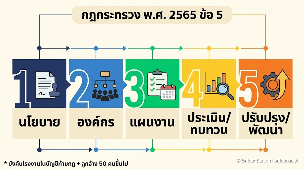 อินโฟกราฟิก 5 องค์ประกอบของระบบ SMS ตามกฎกระทรวง 2565 ข้อ 5 — นโยบาย องค์กร แผนงาน ประเมิน ปรับปรุง