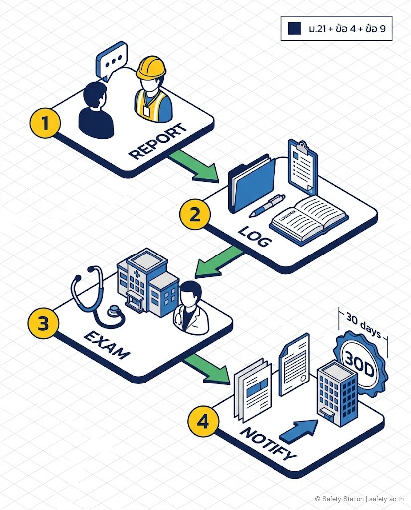 ภาพประกอบ workflow รายงาน WMSDs 4 ขั้น แจ้ง จป. บันทึก incident ส่งตรวจอาชีวเวชศาสตร์ แจ้งพนักงานตรวจความปลอดภัย พร้อม timeline 30 วัน